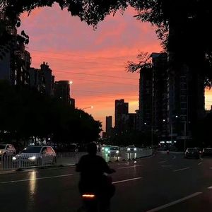 美女百分百裸体视频
