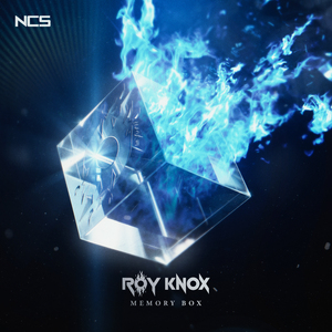 美女百分百裸体视频
