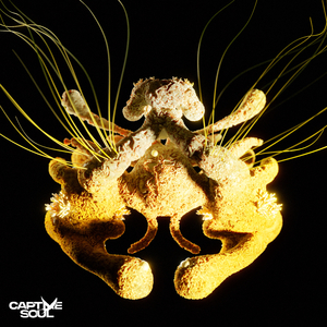 男人高中宿舍Cay互吃鳮
