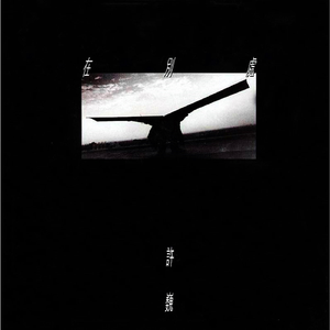 太国大大屁黄色网
