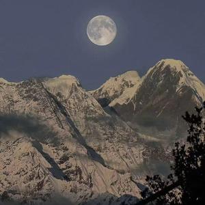 欧美性XXXX狂欢老少配
