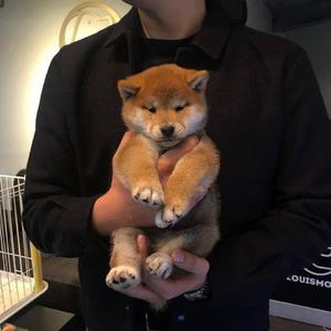 和丝袜老师啪啪啪
