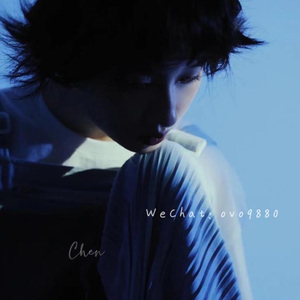 女人日逼的视频
