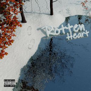 连云港电容器厂家用小蛙营销导航
