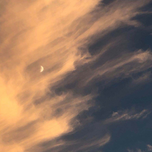 老扒法蓉高潮三次
