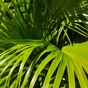 女人和拘做受全过程
