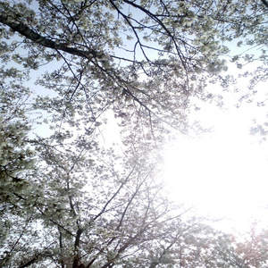 免费午码午夜在线观看
